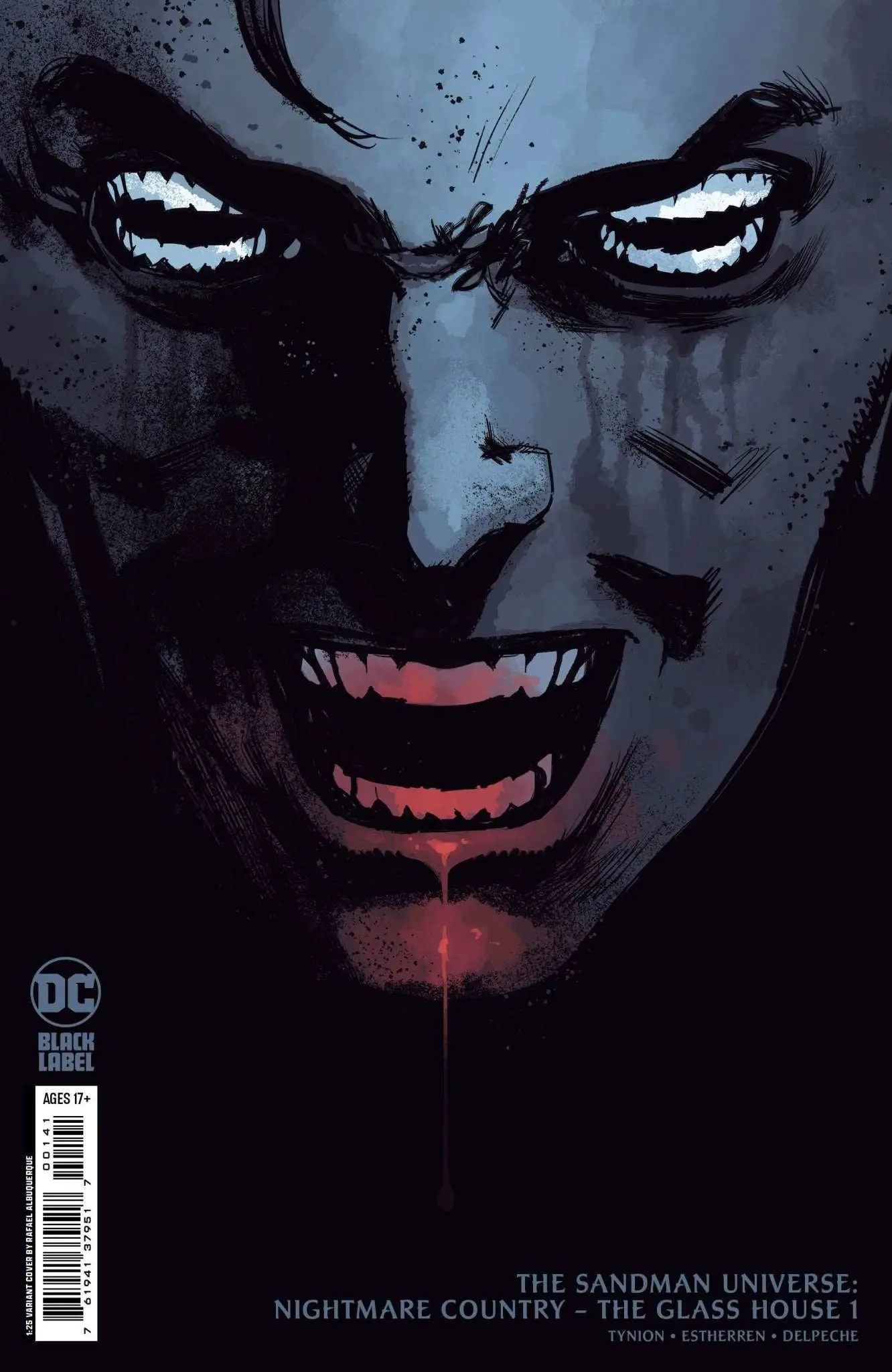 Sandman Universe Nightmare Country The Glass House #1 (Of 6) Cvr C Inc 1:25 Rafael Albuquerque Card Stock Var (MR)