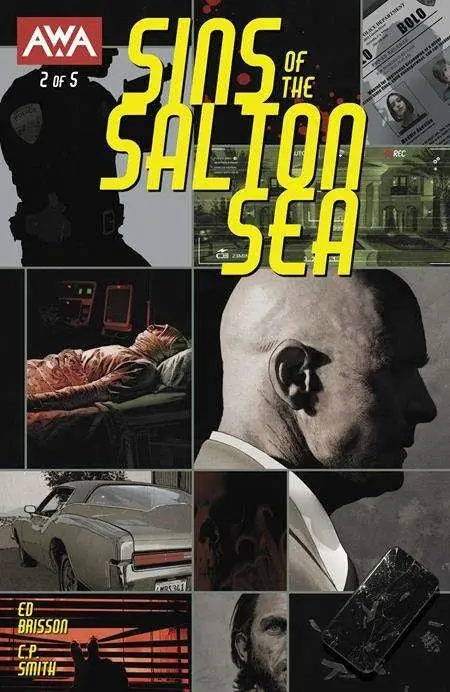Sins Of The Salton Sea #2 (Of 5) Cvr A Tim Bradstreet (MR)